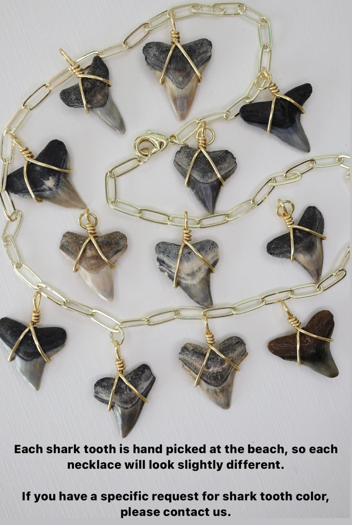 Shark Tooth Necklace