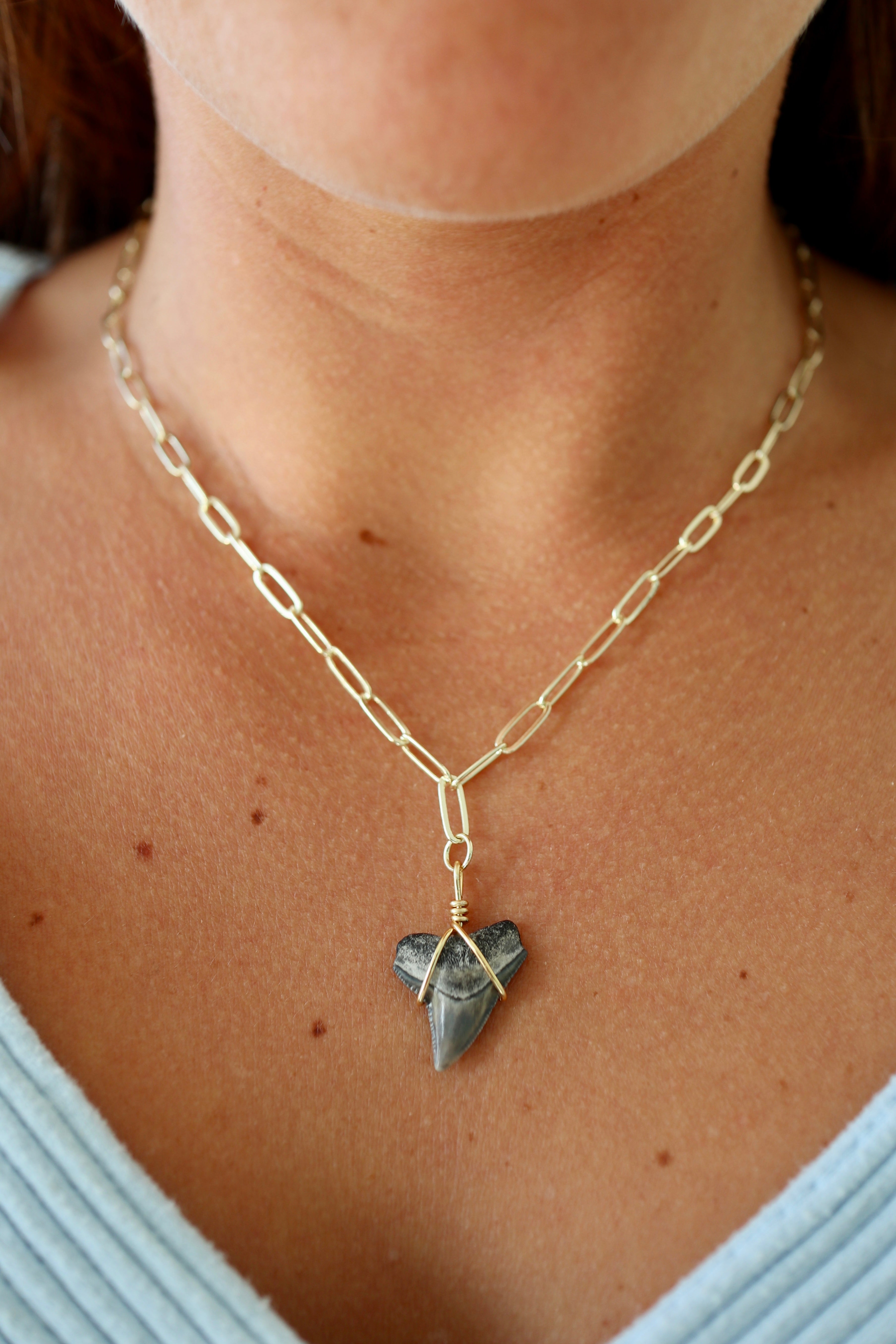 Shark Tooth Necklace