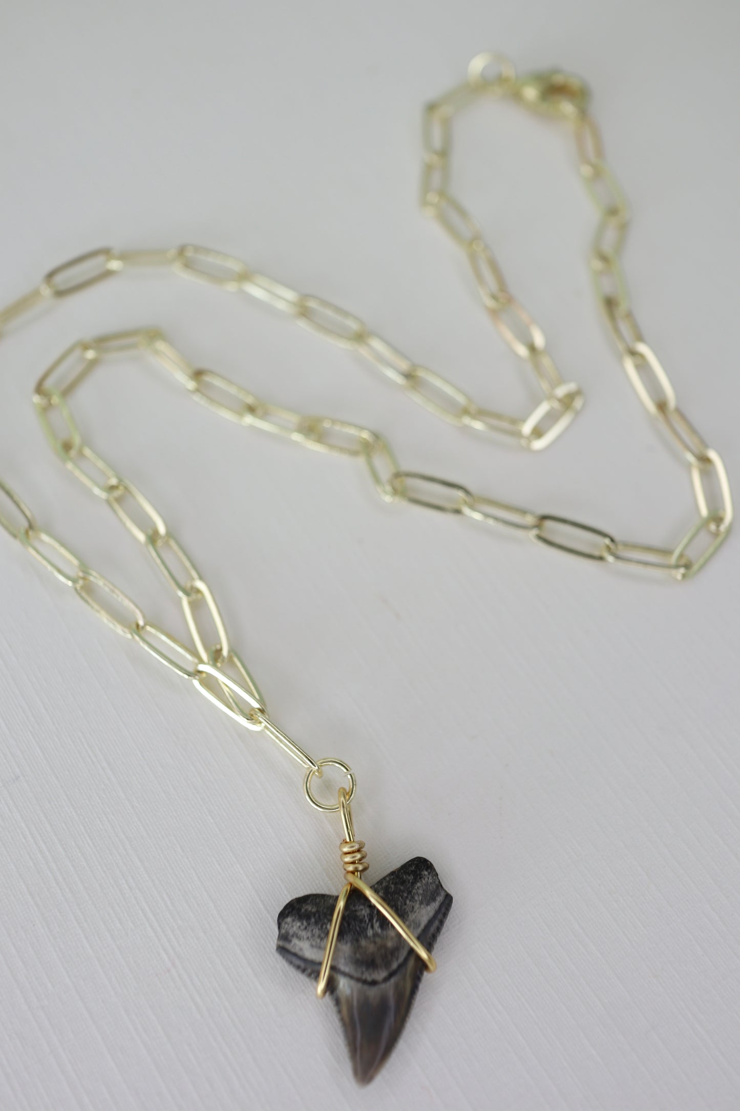 Shark Tooth Necklace