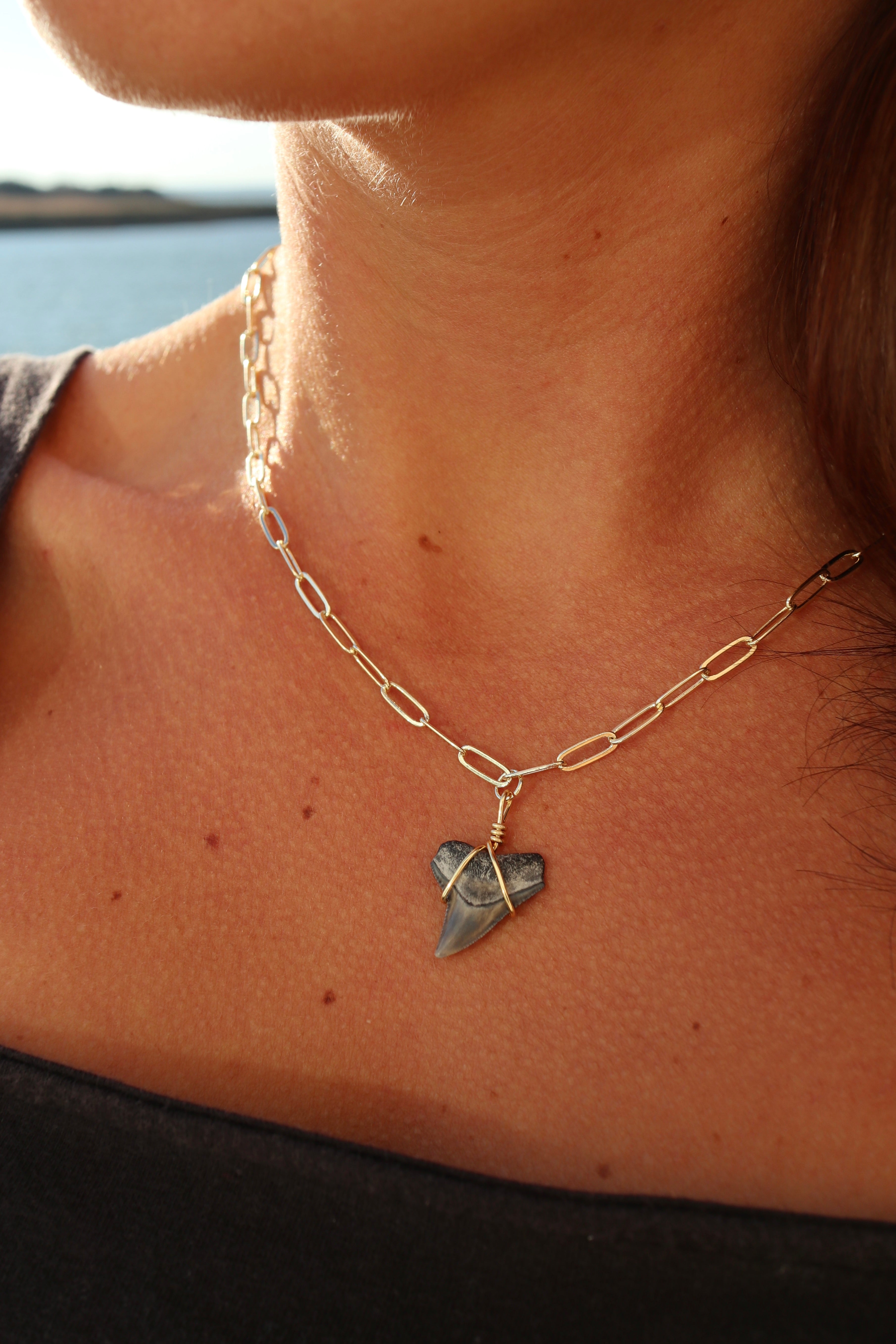 Shark Tooth Necklace