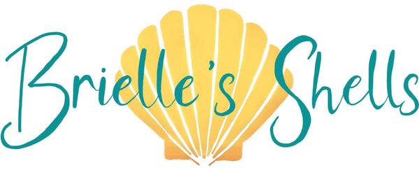 Brielle’s Shells
