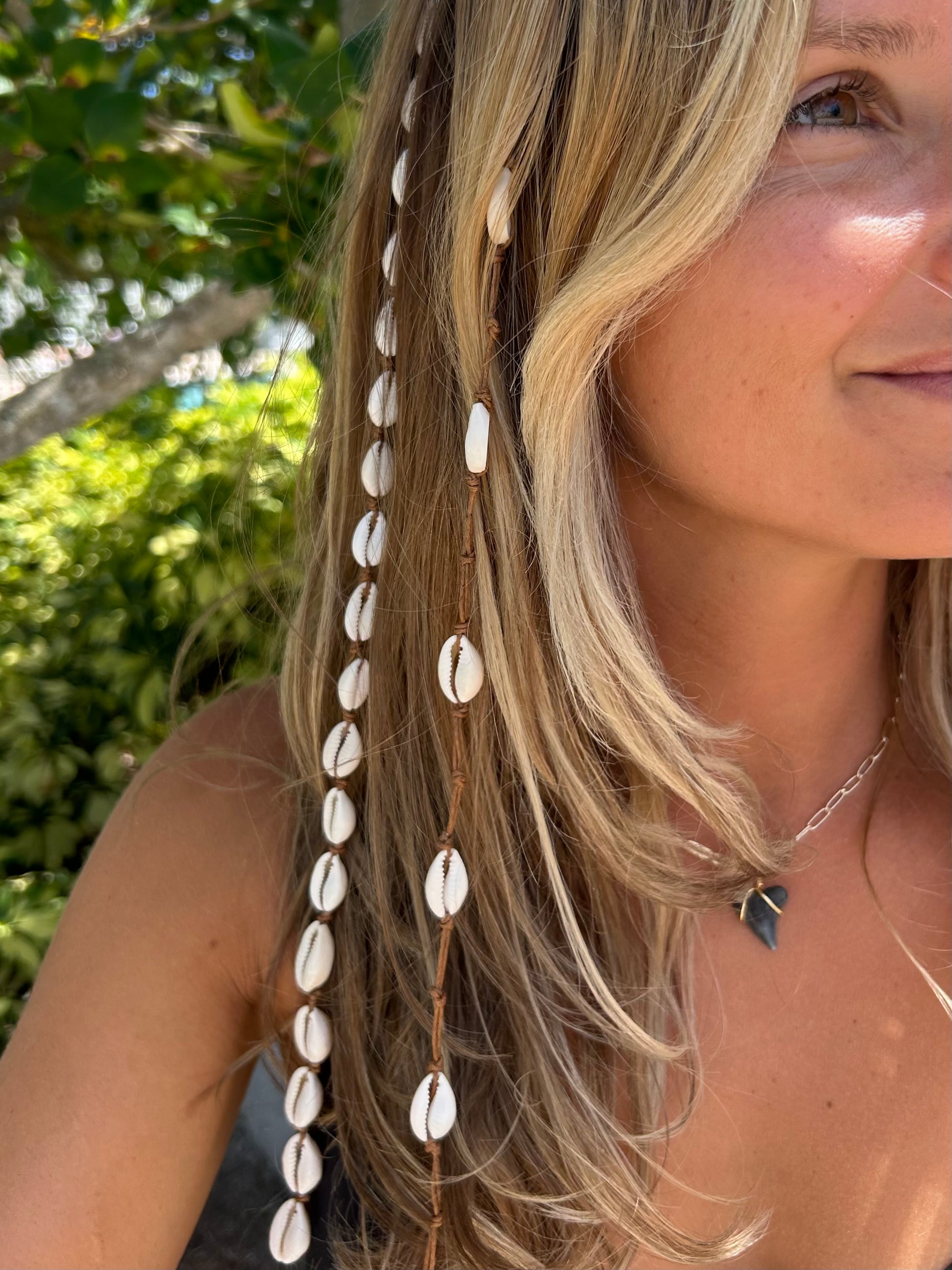 Shell Lover