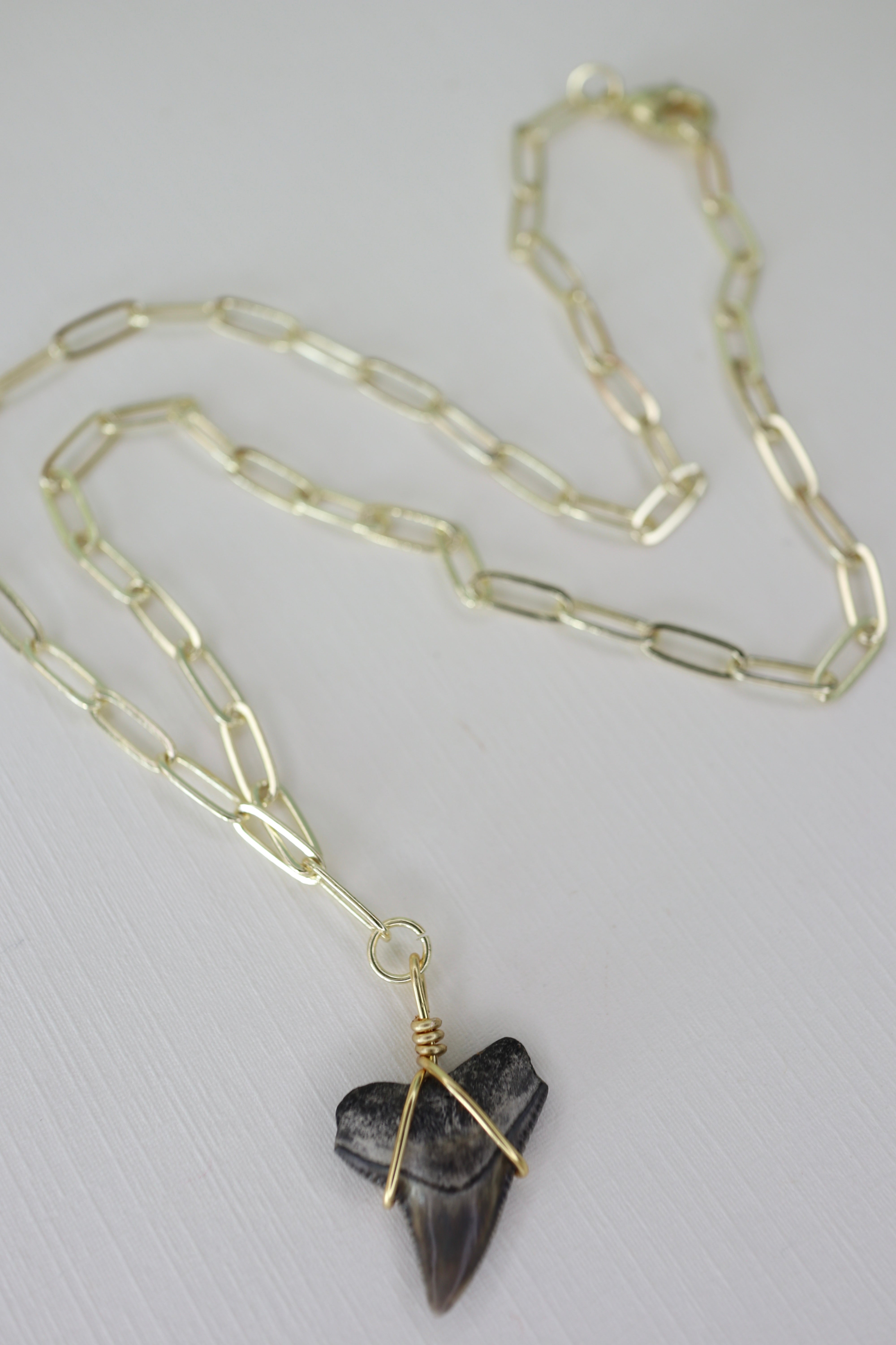 Shark Tooth Necklace